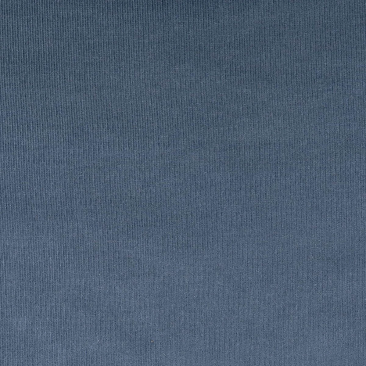 Scouter Cord Shorterall - Women's 4 Scouter Cord Shorterall - Women's - Image 4