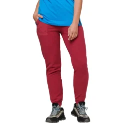 Cotopaxi Abrazo Fleece Jogger - Women's