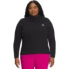 The North Face TKA Glacier Plus 1/4-Zip Pullover - Women's